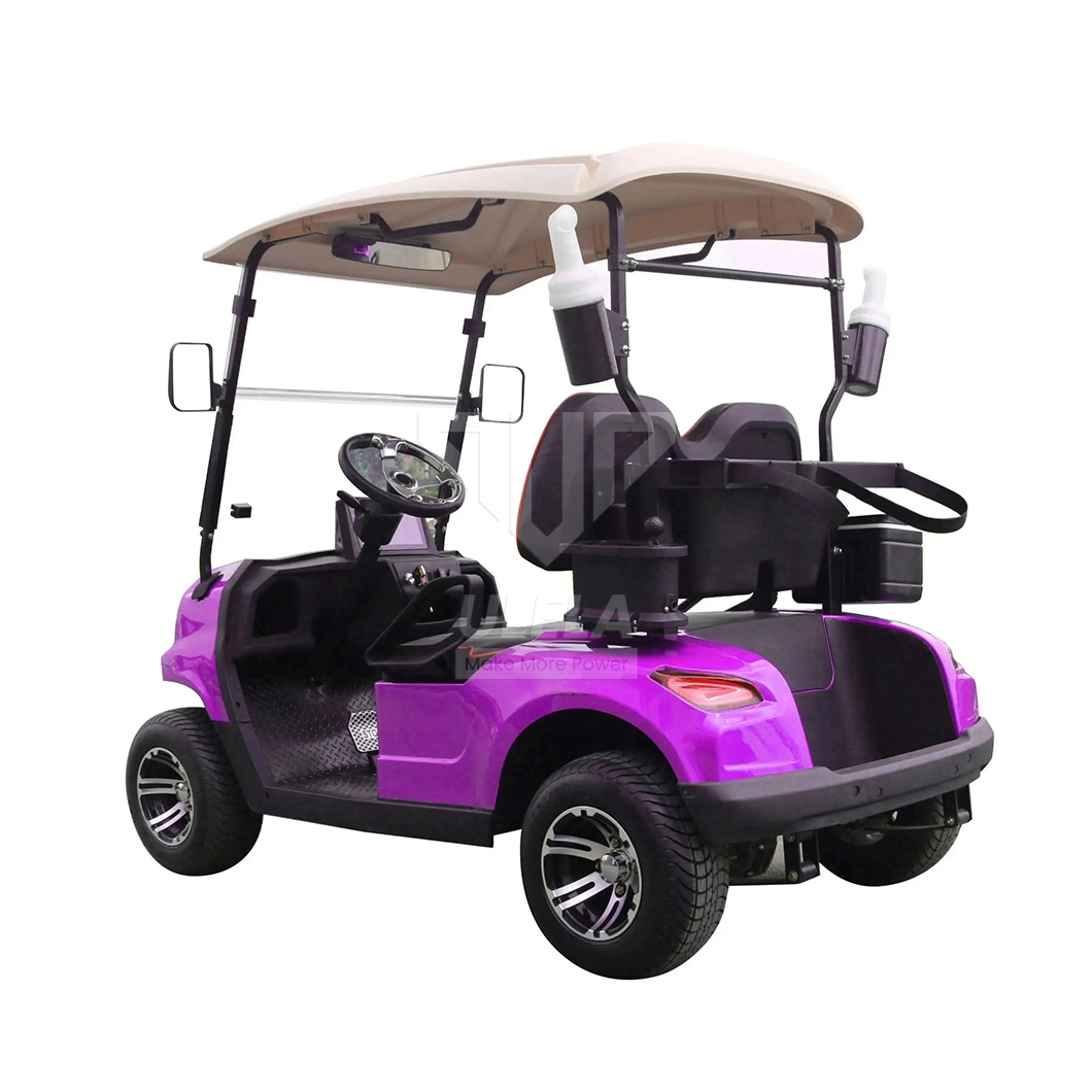 Ulela Epic Golf Cart Dealers Steel Frame Golf Carts Green 2 Seater China 2 Seater Battery Operated Golf Carts