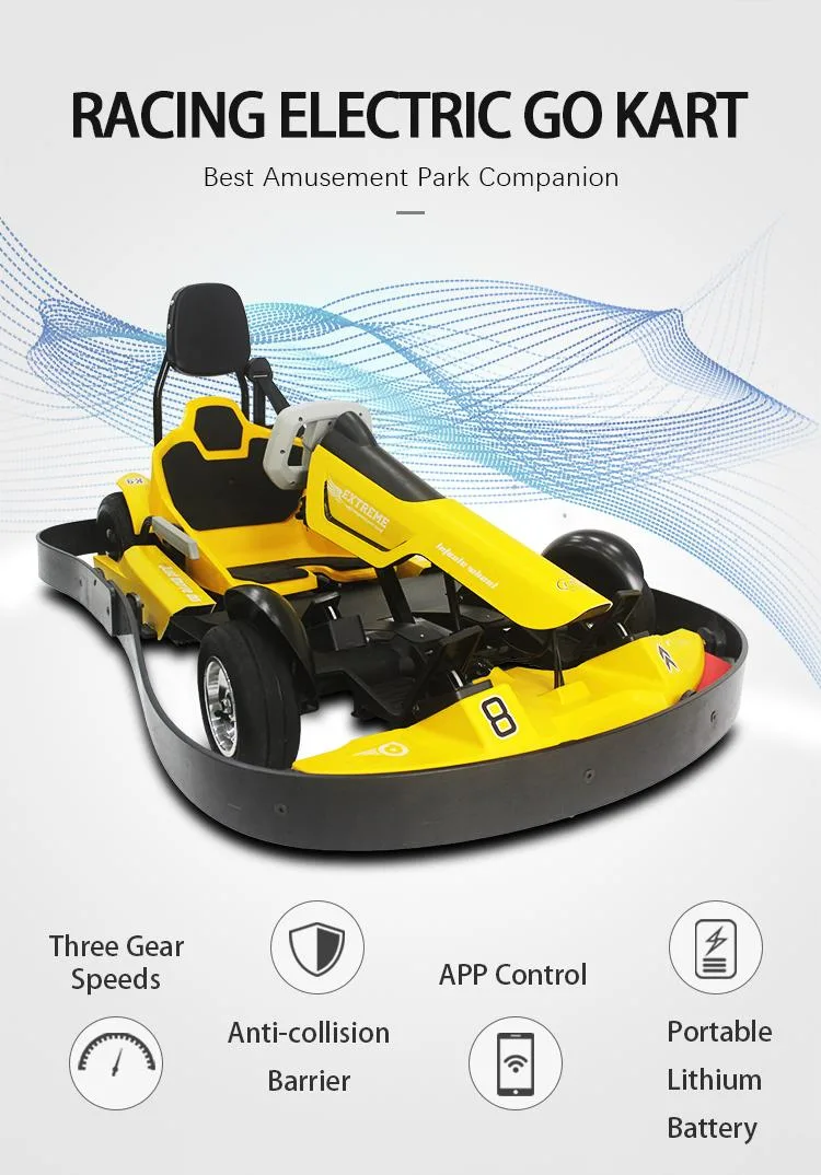 K9-2 Amusement Park Go Karting Cart APP Support Race Go Kart Ride on Car for Child Youth Adult