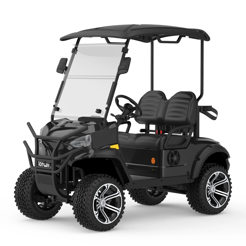 Custom Electric Golf Cart Mini off Road 2 Seater AC Motor 5kw Hunting Buggy Karts