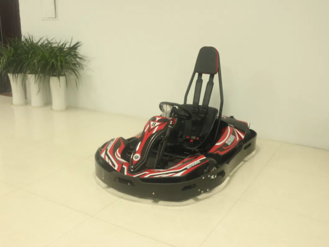 Cool Adult Karting 3000W Hub Motor Go Cart Electric Race Go Kart