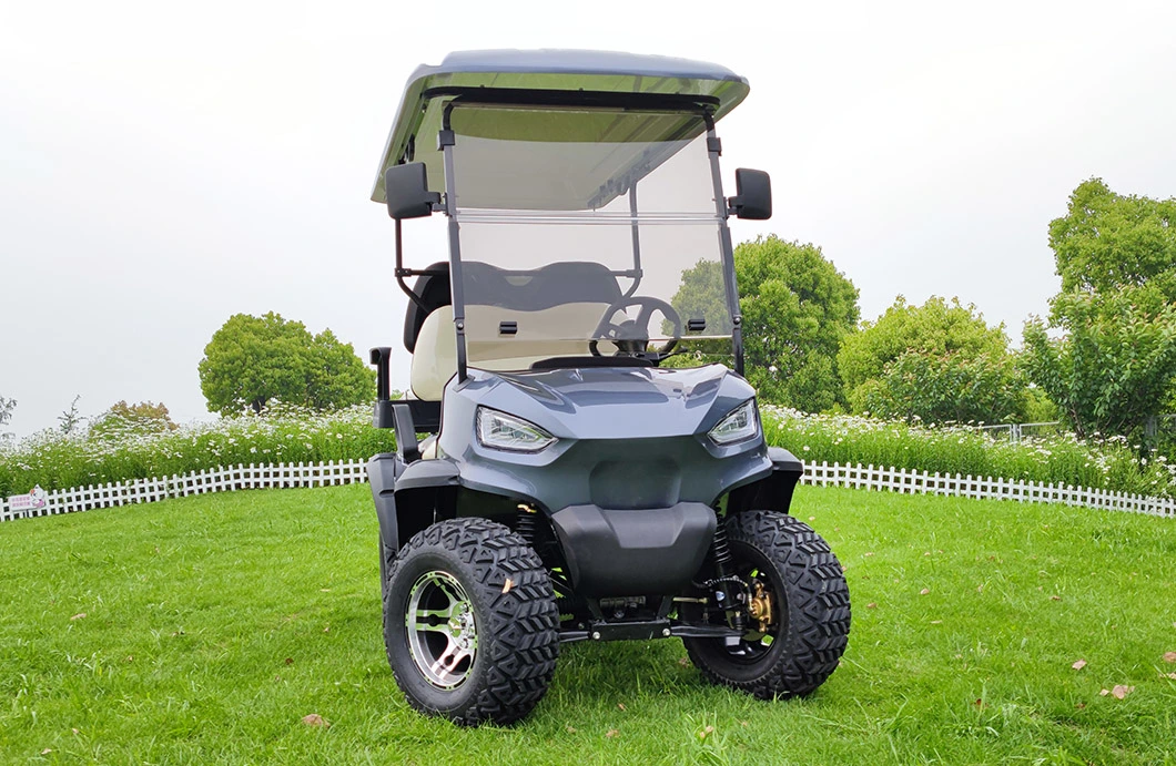 Dune Utility Vehicle Buggy 4 Person Electric New Golf Carts