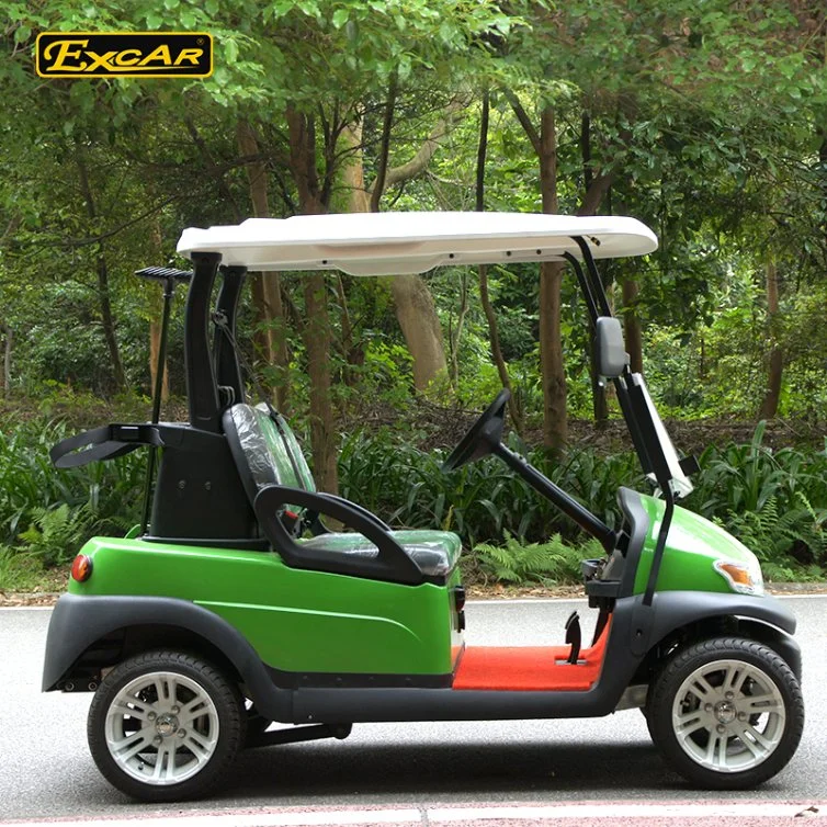 New 2 People Electric Mini Golf Cart