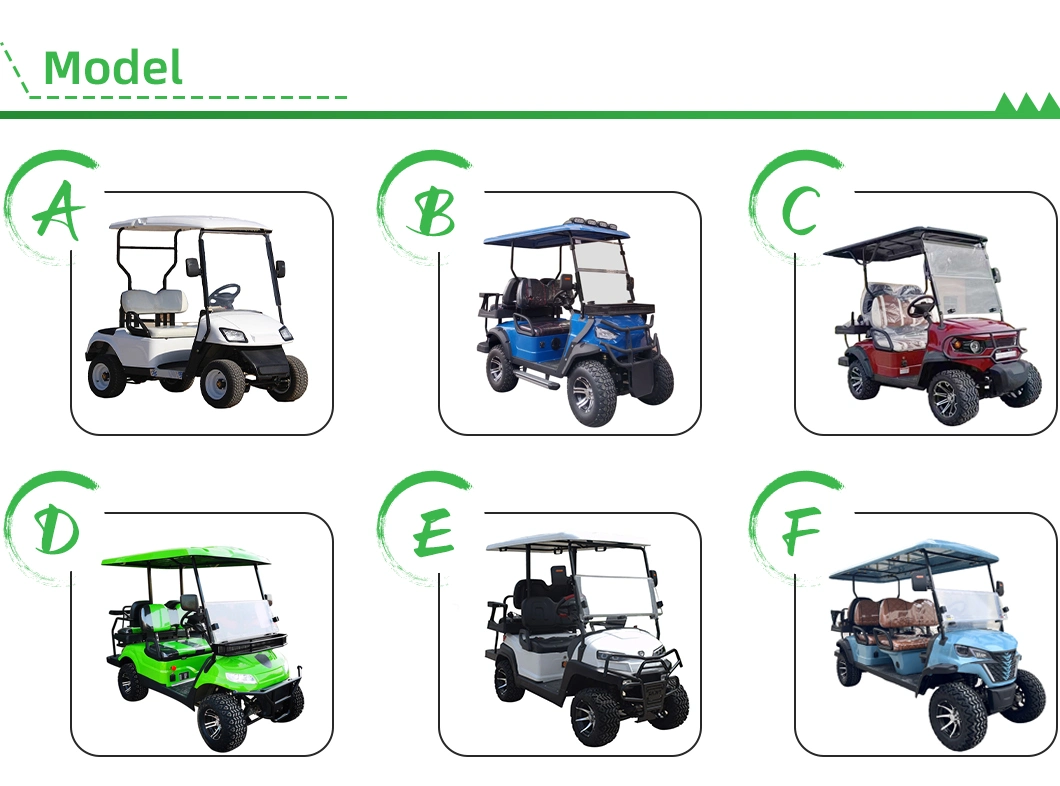 New Design Tourist 6 Passenger Utility Carts White Hunting Gas Golf Cart