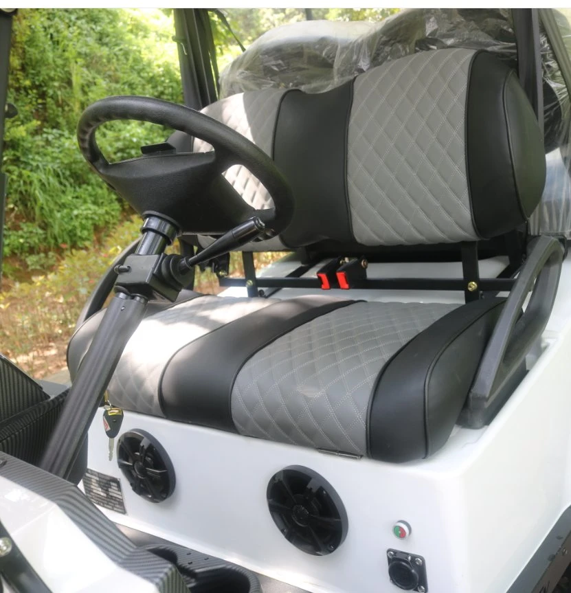 2-4 Seater Electric Golf Car Platform Lorry with Cargo Golf Car