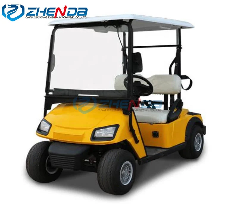 Custom Color and Logo Golf Buggy/Club Golf Cart with Car Bumper/Club Car Rain Cover for Sale