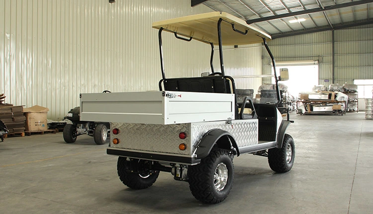 2-Seater Golf Electric Utility Vehicle with Cargo Box Mini Truck