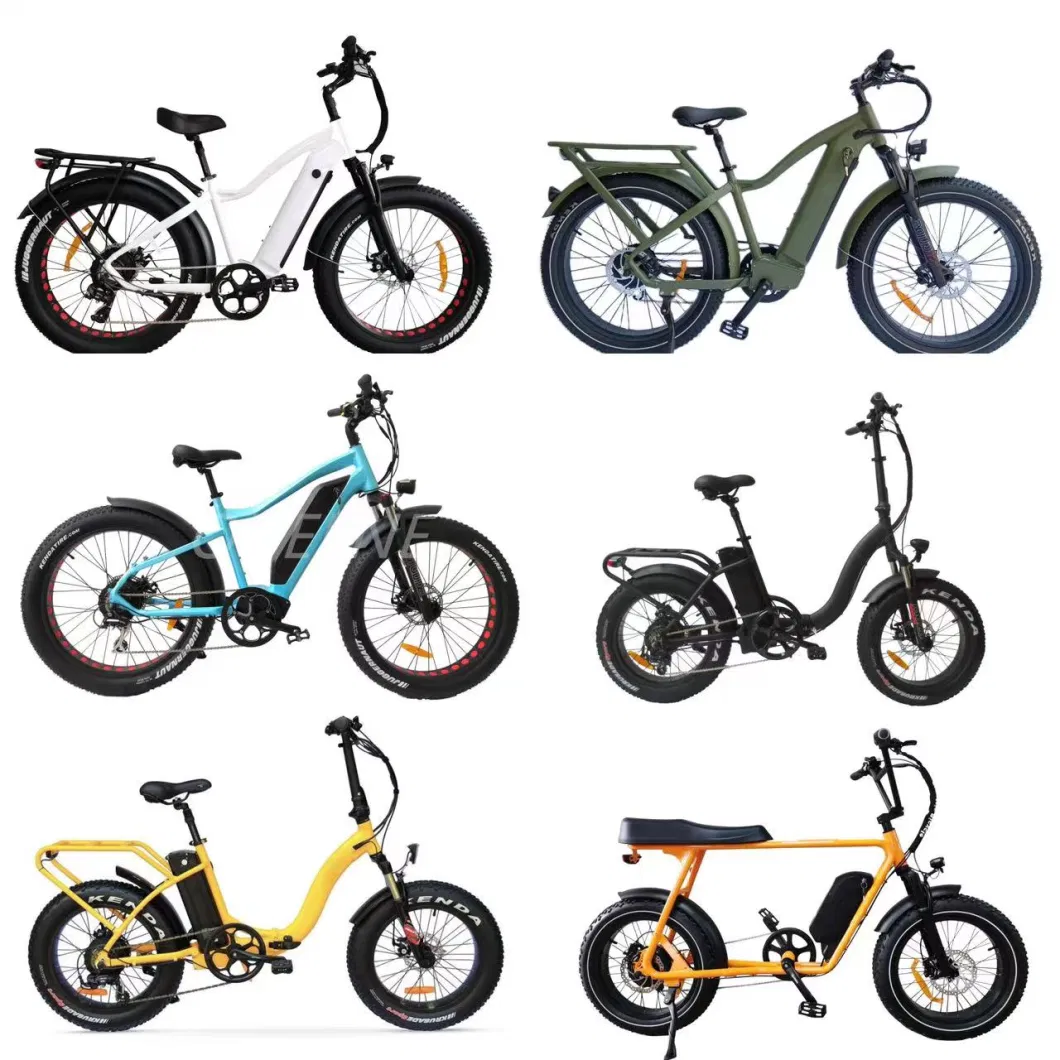 Jinhua E Bicycle Manufacturer New Custom Motor Electric Fat Bike Electric Vehicle