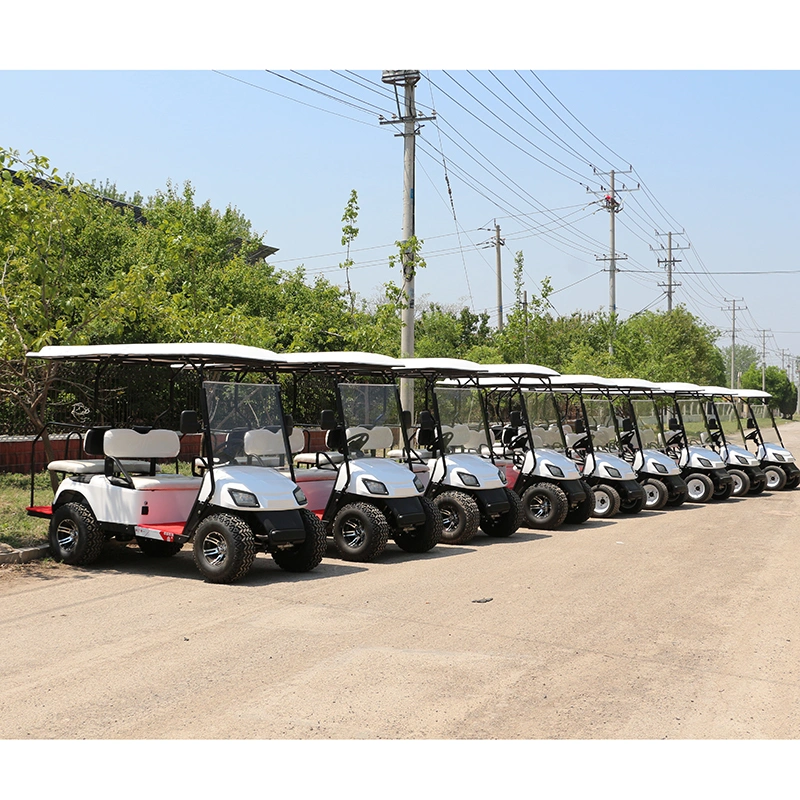 China Manufacturer Wholesale 100/120km Mileage Lead Acid/Lithium Battery 48V/60V/72V 2, 4, 6, 8, 10 Seats/Seater Hunting Golf Cart