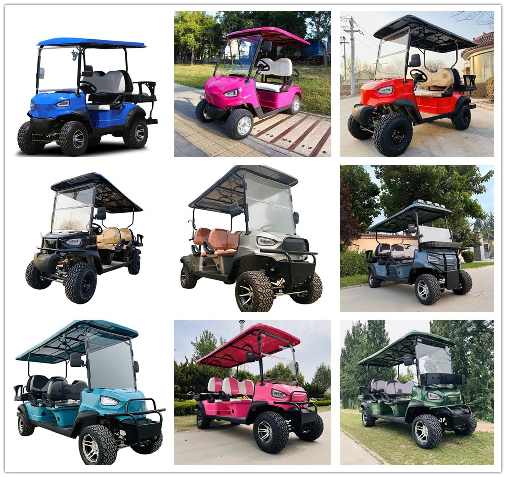 New Design Golf Cart Hunting Car with Bumper 2 Seat Electric No-Lifted Golf Cart for Sightseeing Club
