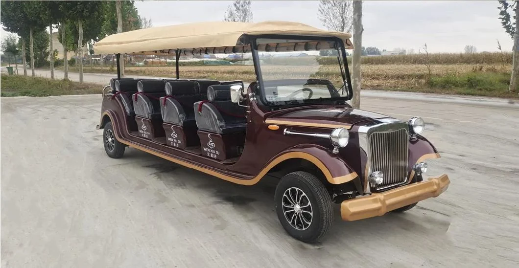 Custom Professional Adult Golf Cars/Electric Classic Car