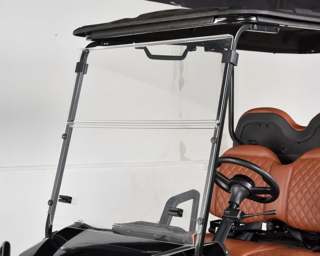 Hot Hunting 4 Passengers Golf Cart Electric Buggy