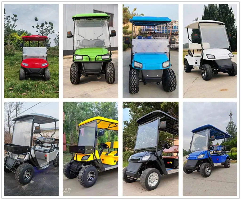 New Design Golf Cart Hunting Car with Bumper 2 Seat Electric No-Lifted Golf Cart for Sightseeing Club