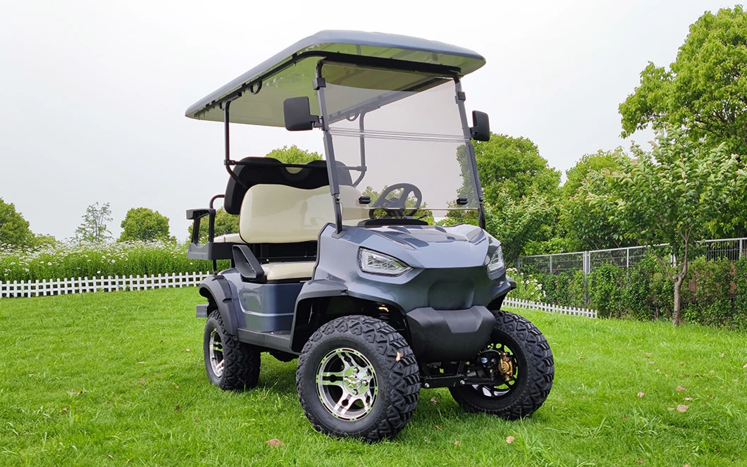 Dune Utility Vehicle Buggy 4 Person Electric New Golf Carts