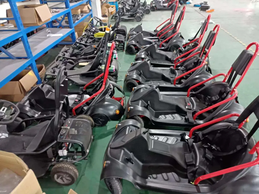 Cool Adult Karting 3000W Hub Motor Go Cart Electric Race Go Kart