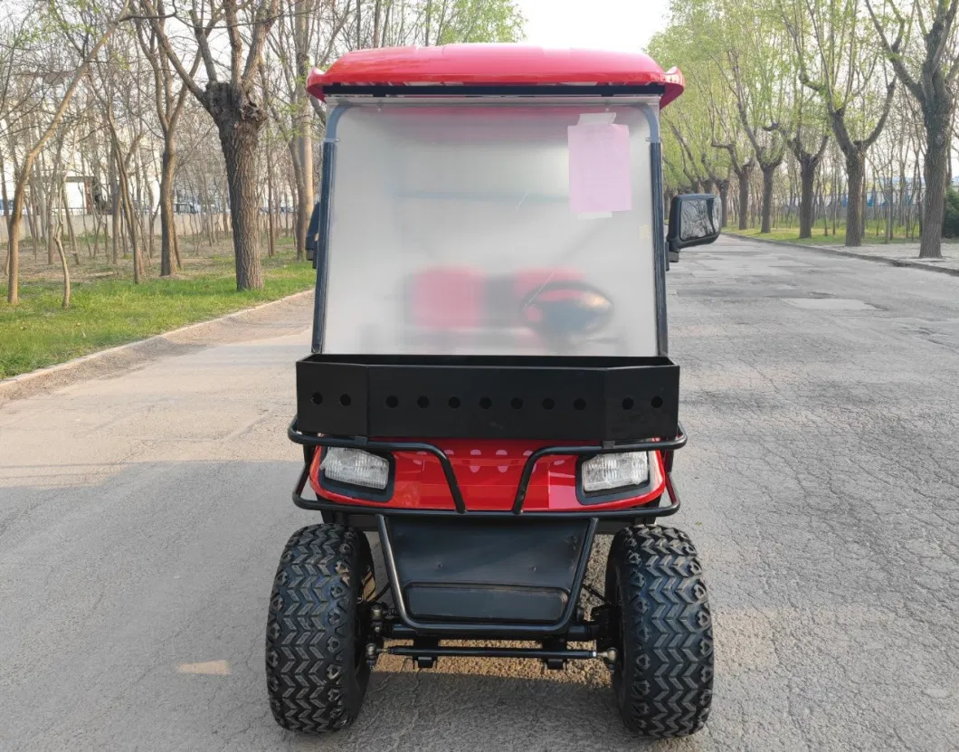 Hot Promotion Gasoline Cart 2 4 6 8 Seater Used Icon Gas Powered Golf Carts/ Electric Golf Cart