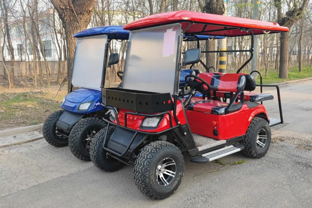 Factory Outlet 4 6 Person Seat Gas Model Golf Cart and Electric Golf Kart