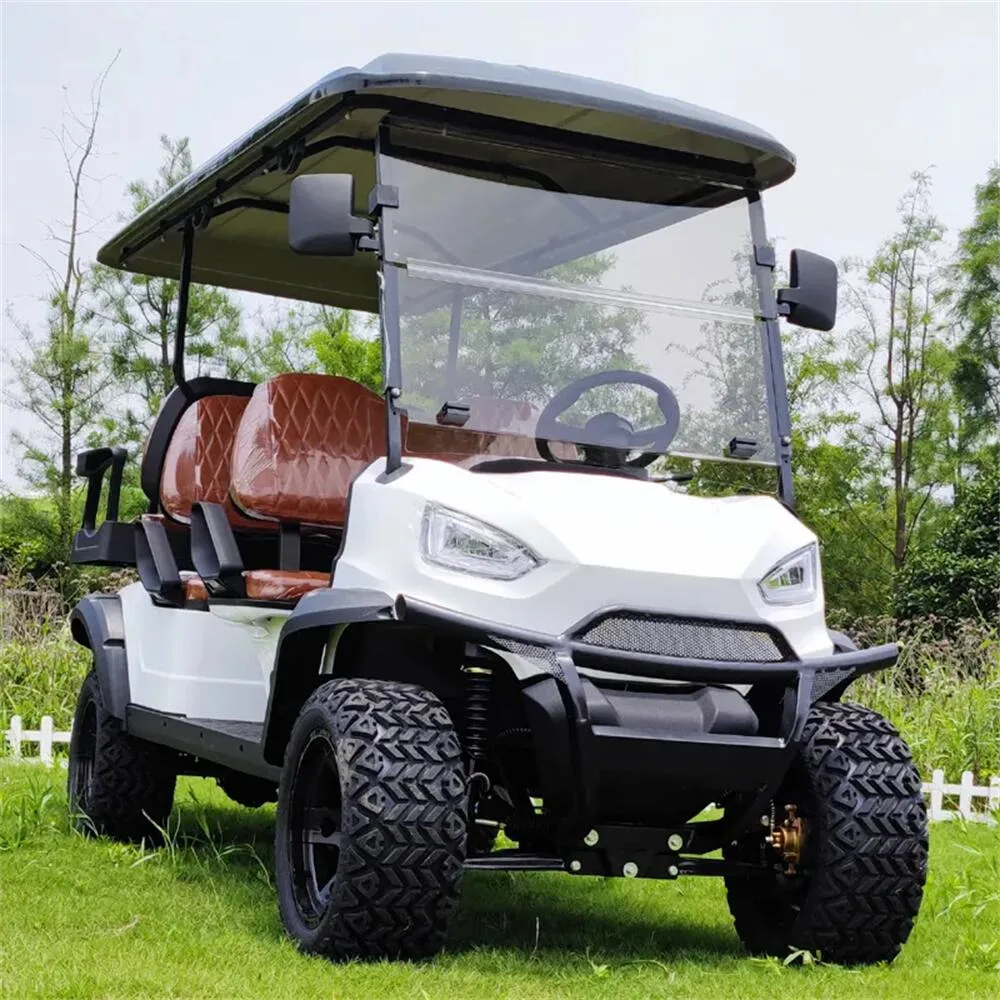 New Model 2 4 6 Seater Golf Cart with Large Storage Compartments