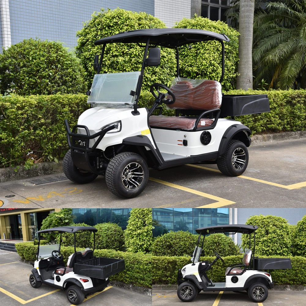 Borcart New Golf Carts Electric 7-Inch Screen Waterproof Standard Go Kart