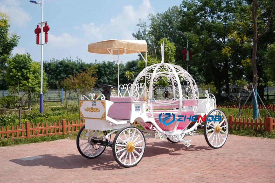 Hot Sale Decorative Cinderella Wedding Carriage Sightseeing Horse Cart