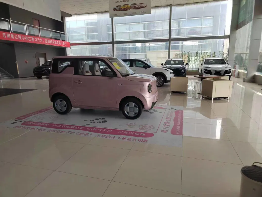 Chin 2023 Small Electric Car Cheap Cars Manufacturer Direct Sale New Energy Electric Vehicle for Geely Panda Mini