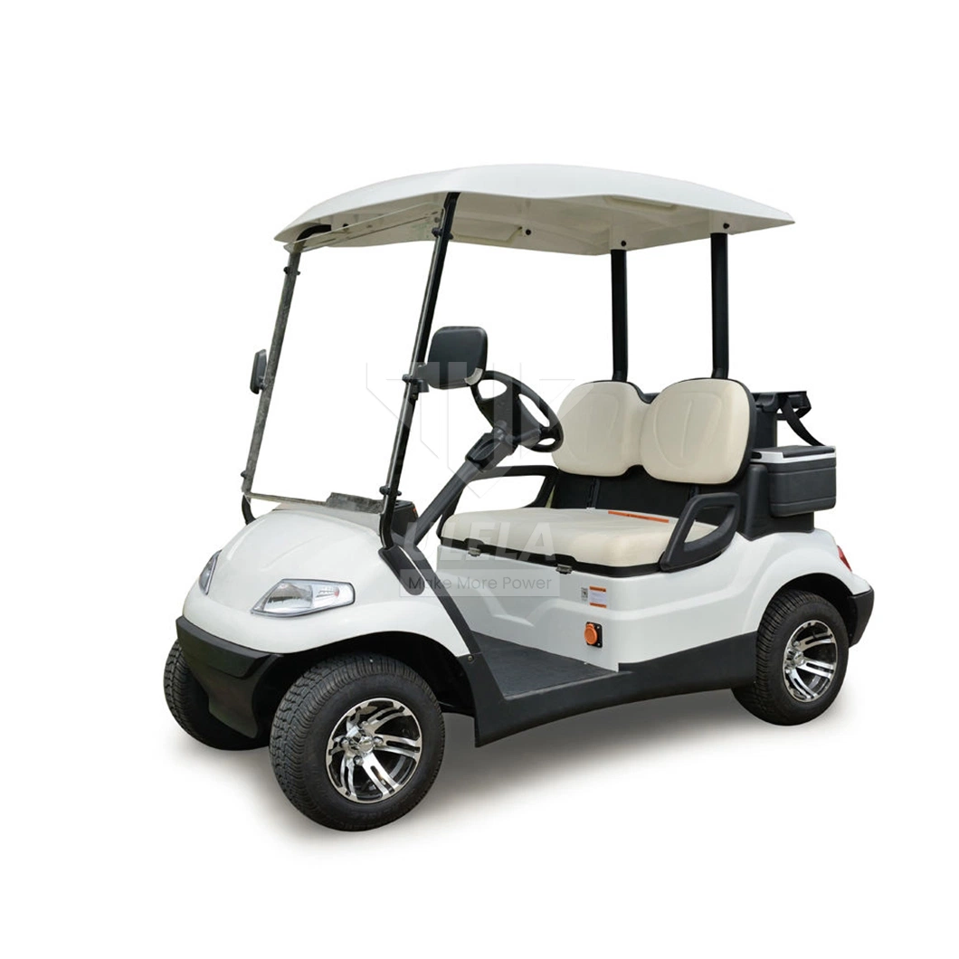 Ulela Advanced EV Golf Cart Dealers Electric Rear Drive Enclosed Golf Buggy Electric China 2 Seater E Car Golf Cart