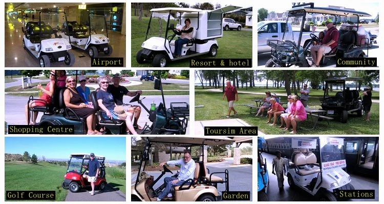 Golf Cart Wholesale Advanced EV Golf Cart New Electric 4X4 Golf Cart for Sale