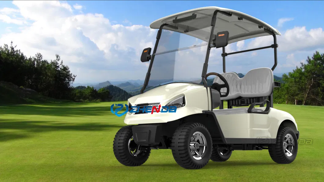 Classic Blue Fashion Golf Cart/Custom Beautiful and Exquisite Scenic Reception Golf Cart for Sale