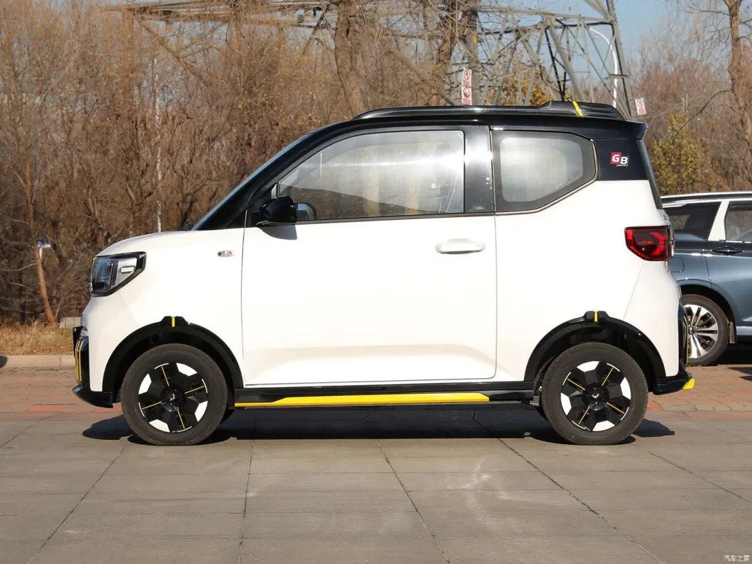 Chinese Manufacturer Electric Vehicle 35km/H Adult Car Uses Mini Electric Vehicle