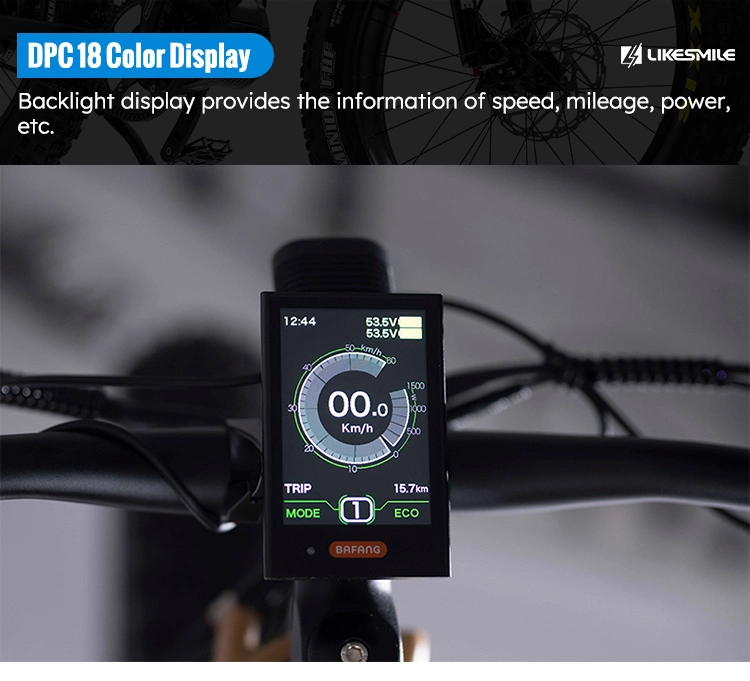 AMD1000-2 Dual Battery Hunting Bikes Power Electric Fat Tire Bike 48V 1000W Electric Vehicle