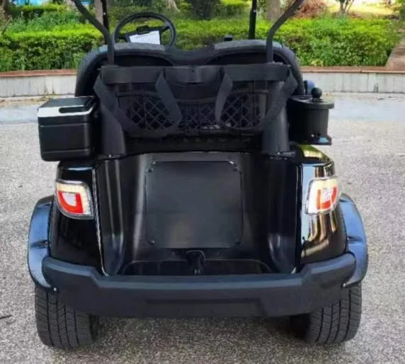 2-Seats Electric Vehicle Lento Brand Appearance Beautiful Golf Cart