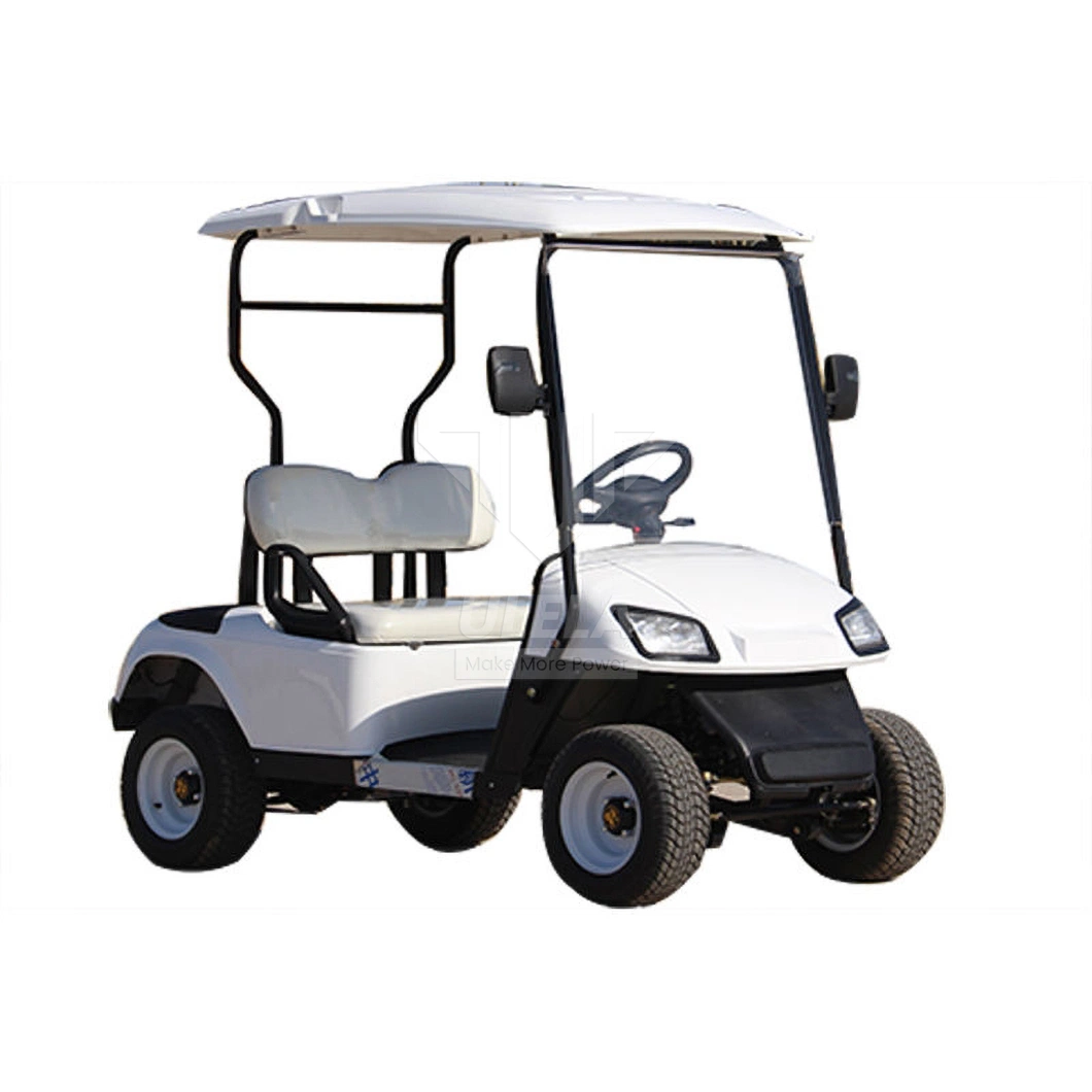 Ulela Advanced EV Golf Cart Dealers Electric Rear Drive Enclosed Golf Buggy Electric China 2 Seater E Car Golf Cart