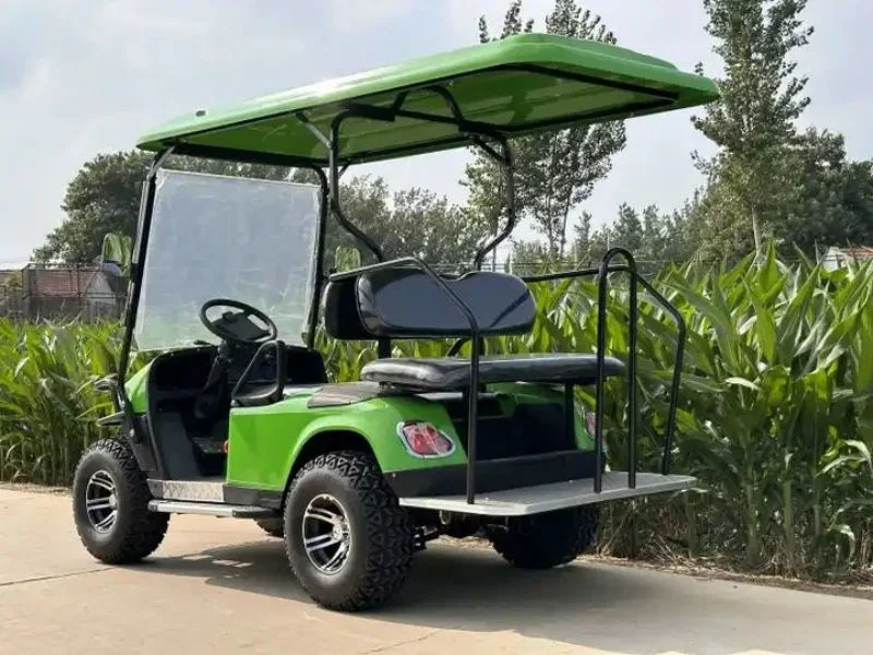 Factory Direct Sales 4/6 Seater Sightseeing Car 48V Luxury Electric Golf Cart