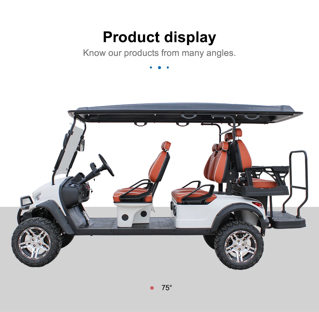 Electric Golf Cart 6 Passengers High Quality Golf Buggy with Lithium Battery