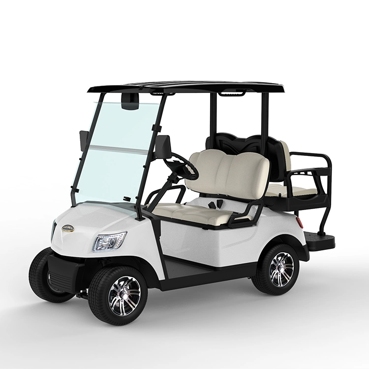 Guangdong Marshell Electric Personal Golf Car with CE Certificate Golf Cart (DG-M2)