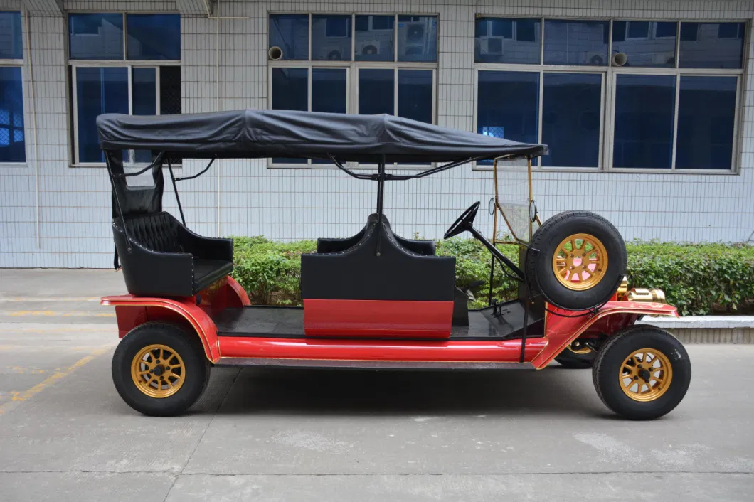 Rariro 6-8 Seats Vintage Car Golf Cart with Custom Seats