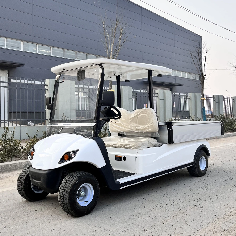 4 Seat Golf Cart with Lithium Battery and Speed Meter and Radio