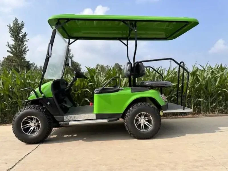 Factory Direct Sales 4/6 Seater Sightseeing Car 48V Luxury Electric Golf Cart