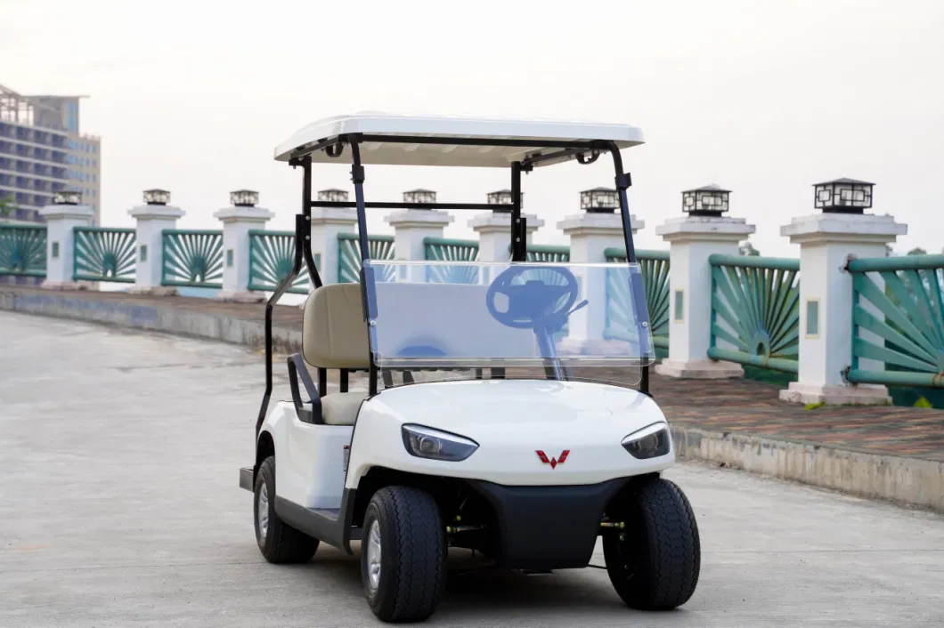 Electric Golf Car Electric Cheap Electric Golf Carts Electric Club Car with CE Certificate