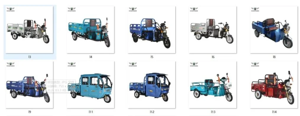 Electric Tricycle3 Wheel 48V 800W China Tianjin Electric Vehicle Customized Export Adult Elderly Disabled