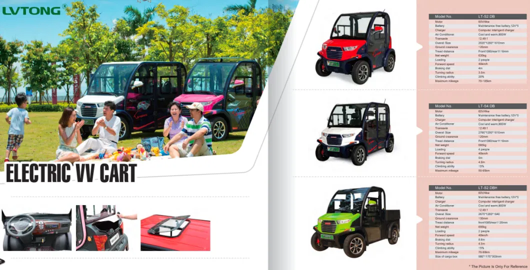 Electric Sightseeing Bus Golf Wholesale Battery Passenger Electric Small Car Mini Car 2 Seater