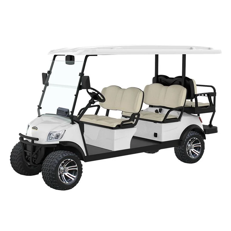 Guangdong Marshell Electric Personal Golf Car with CE Certificate Golf Cart (DG-M2)