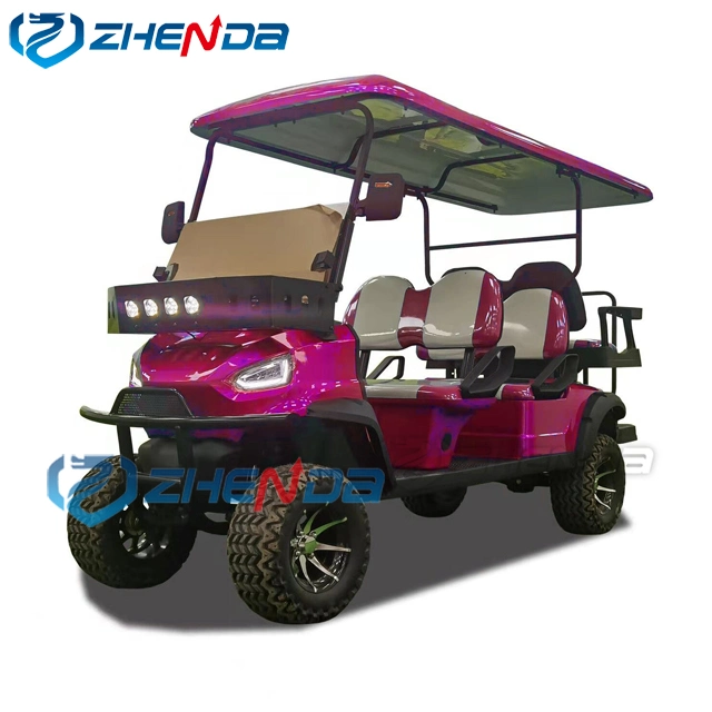 Custom Color and Logo Golf Buggy/Club Golf Cart with Car Bumper/Club Car Rain Cover for Sale