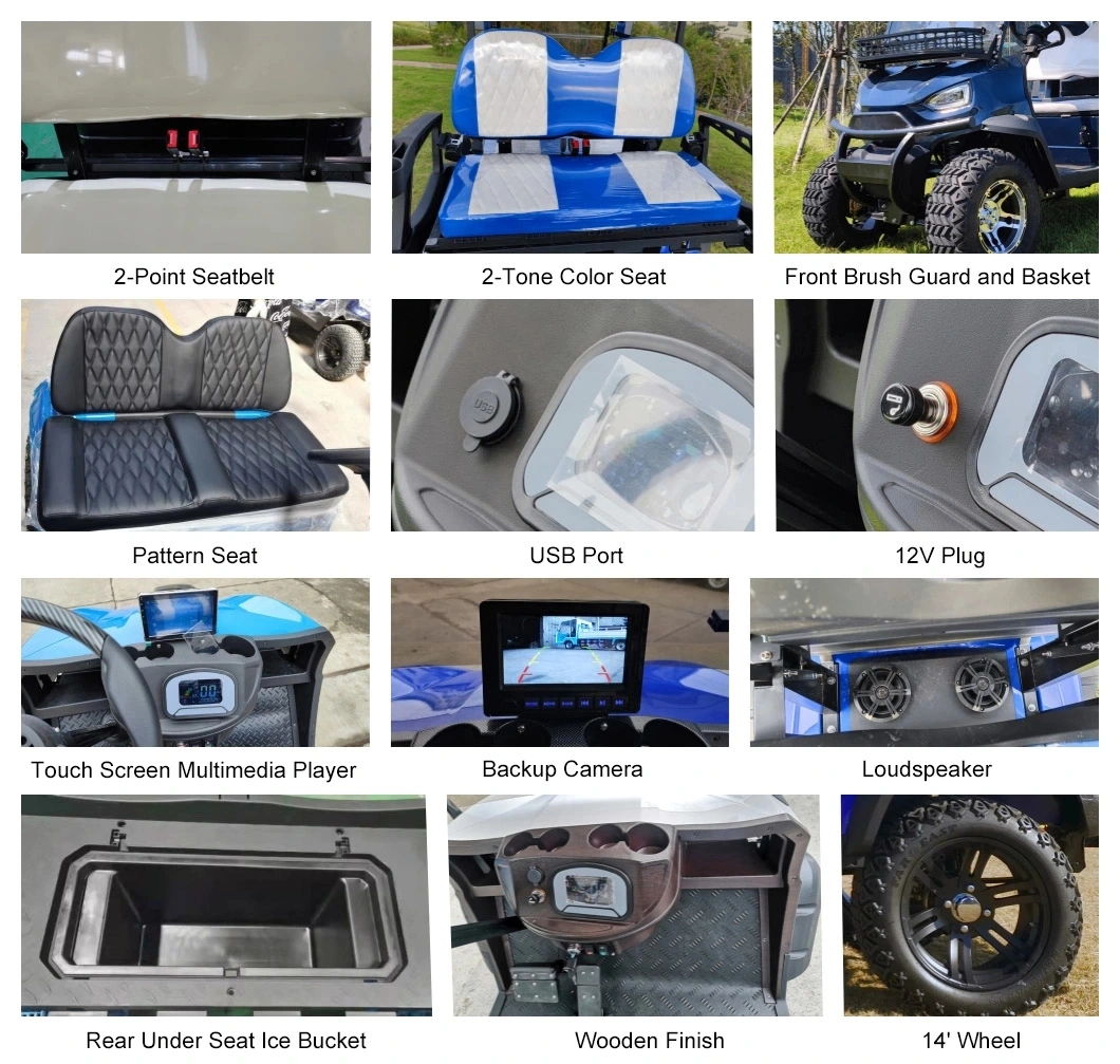 2024 Electric Scooter/ Gasoline Cart 4 6 Seater Used Icon Gas Powered Golf Carts with Free Customization