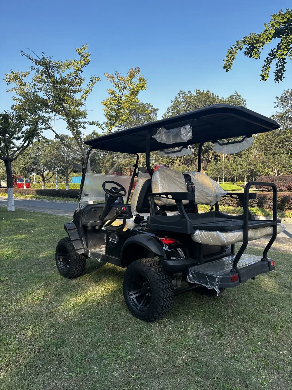 Lithium Golf Carts Battery Luxury Icon Golf Carts Electric 4 Seater