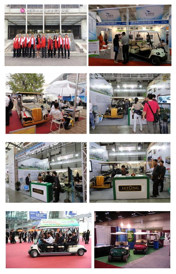 Sightseeing Tourist Classic Multifunctional Aluminum Frame Electric Golf Car with Great Price