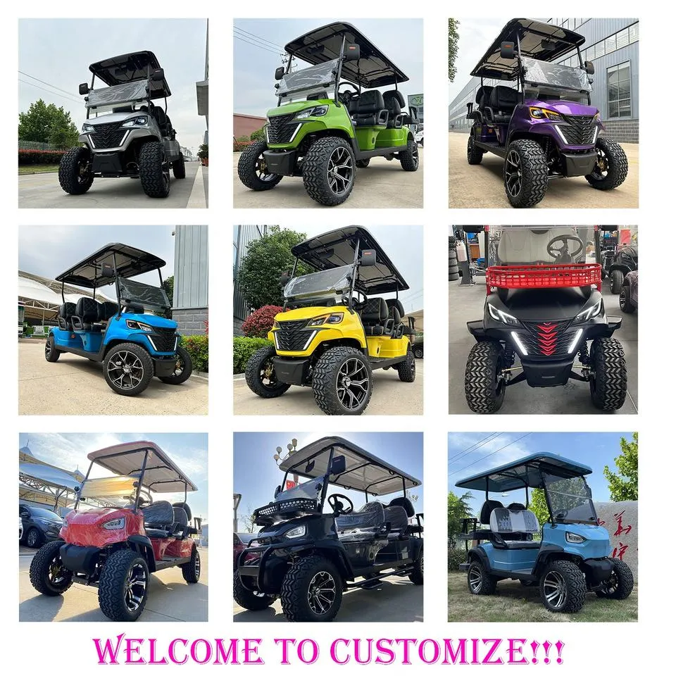 Factory Outlet 4 6 Person Seat Gas Model Golf Cart and Electric Golf Kart