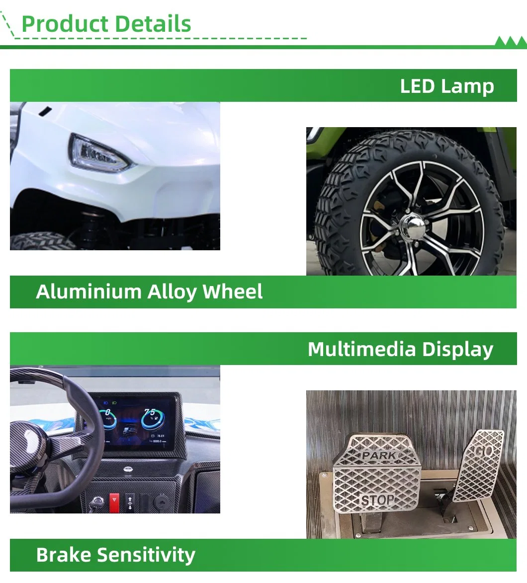 Electric Utility Vehicle for Hunting with CE