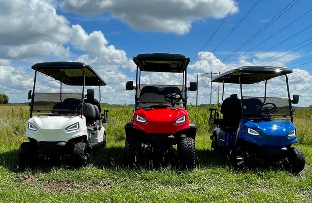 Mini Golf Cart Electric Powered Blue Color Custom 2+2 Seats 6 Seater Club Car for Sale