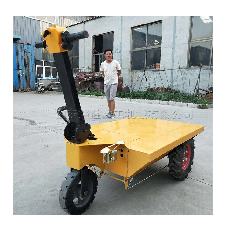 48V Electric Hand Push Flatbed Car Interior Decoration Trolley