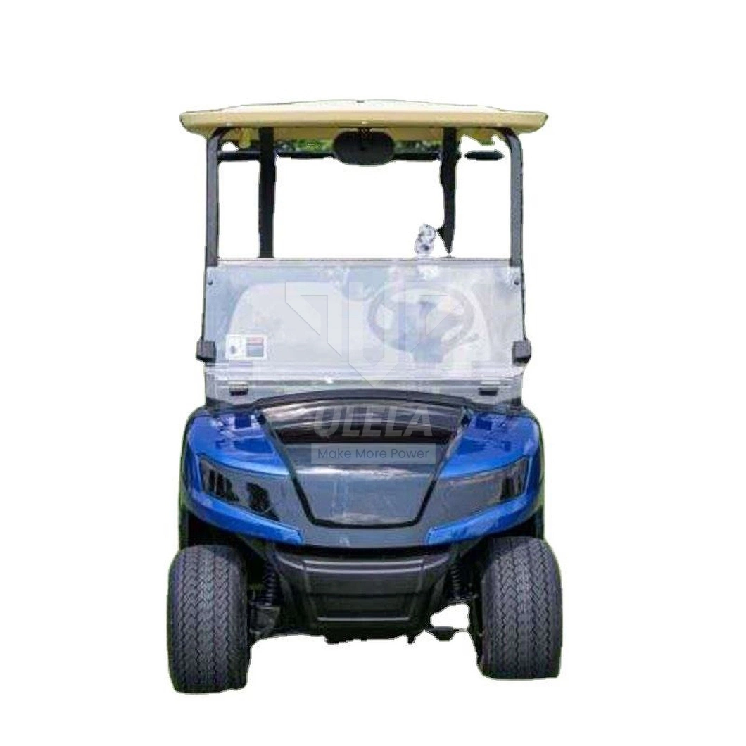 Ulela Epic Golf Cart Dealers Steel Frame Golf Carts Green 2 Seater China 2 Seater Battery Operated Golf Carts